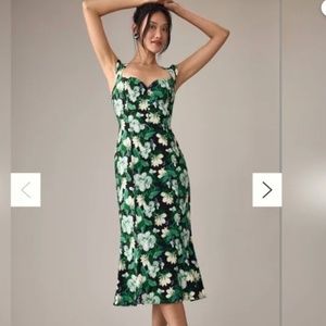 Anthropologie Cecily Fit&Flare Sweetheart Dress in green/white/black floral, sm